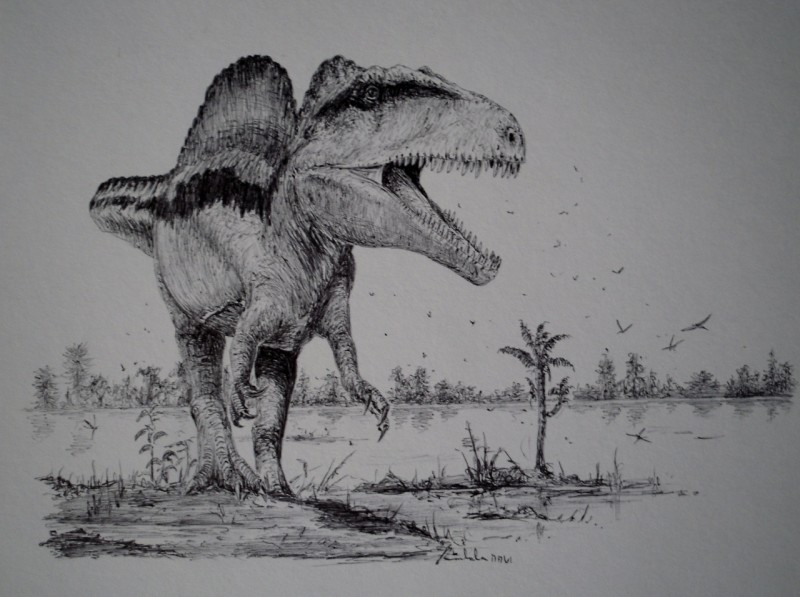 Acrocanthosaurus A5